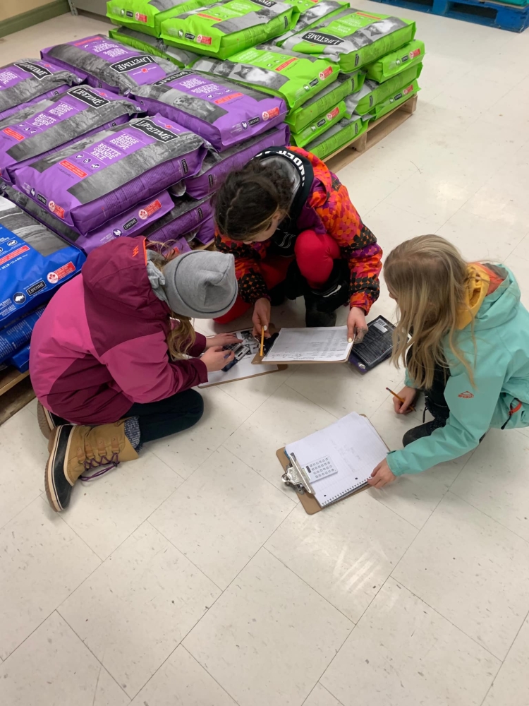 275919663 2174592879359139 5919945472124667906 n