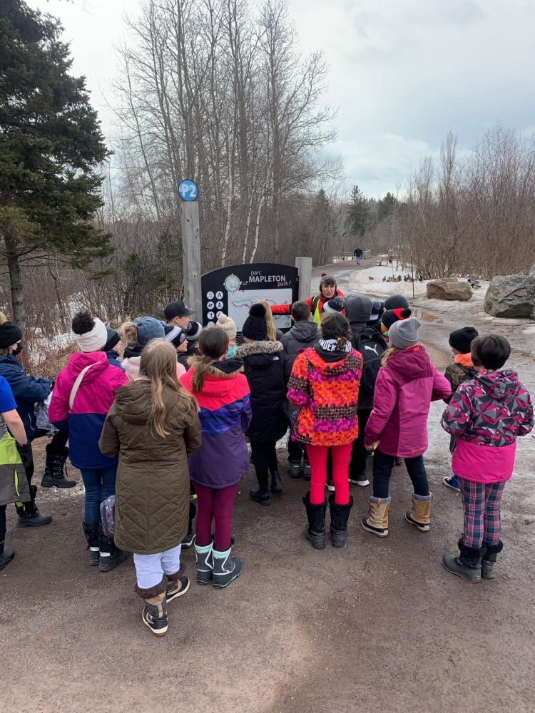 275937937 2174592916025802 698032206945304424 n