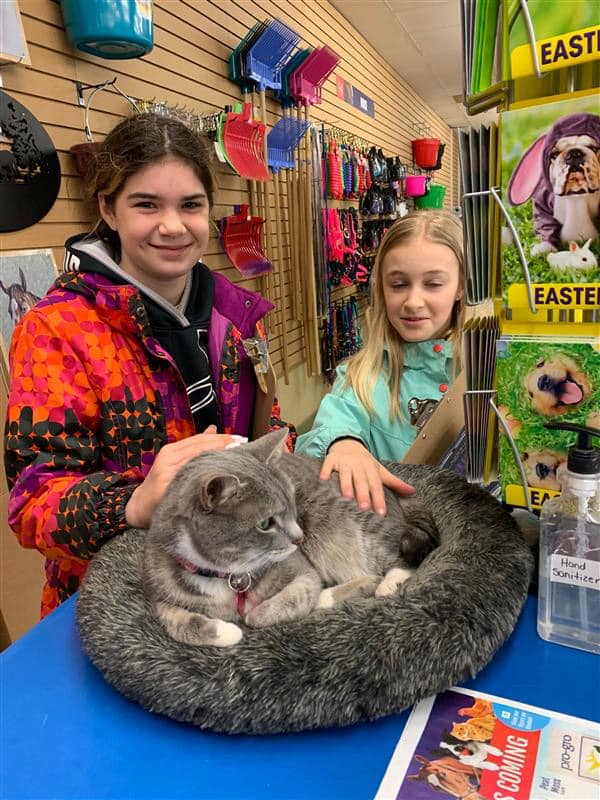 275991851 2174590656026028 8413894267193820008 n